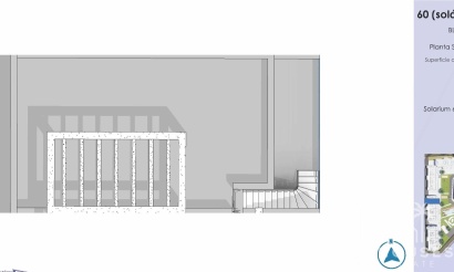 New Build - Apartments - Guardamar del Segura - El Raso