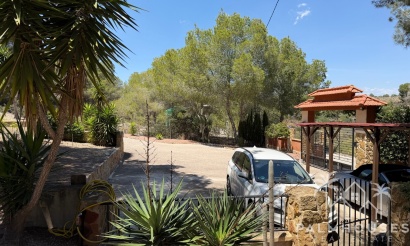 Herverkoop - Finca - Orihuela - Torremendo