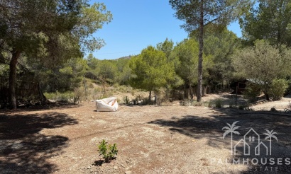 Herverkoop - Finca - Orihuela - Torremendo