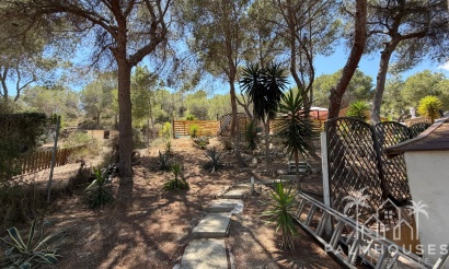 Herverkoop - Finca - Orihuela - Torremendo