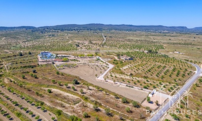 Herverkoop - Villa - Torremendo