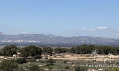 Venta - Plot - San Fulgencio - La Marina