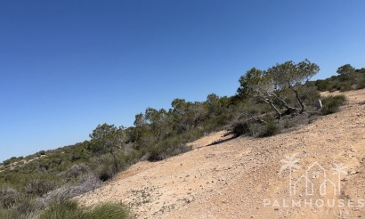 Venta - Plot - San Fulgencio - La Marina
