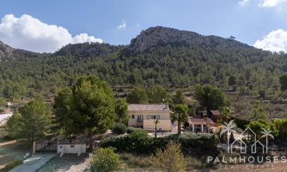 Resale - Villa - La Zarza