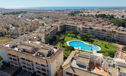Revente - Apartment - Orihuela Costa - Playa Flamenca