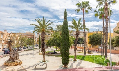 Venta - Apartment - Torrevieja - Estacion de autobuses