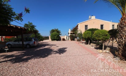 Revente - Finca - Albatera