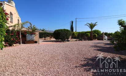Revente - Finca - Albatera