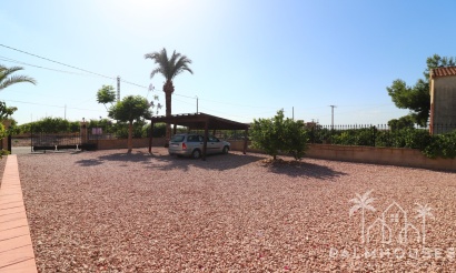 Revente - Finca - Albatera