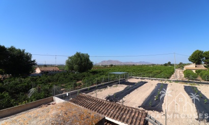 Revente - Finca - Albatera