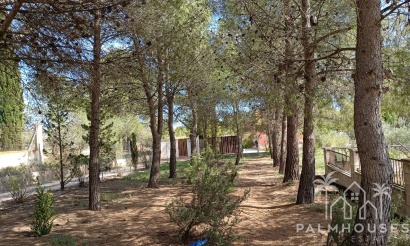 Revente - Villa - Yecla - Inland