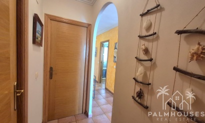 Herverkoop - Appartement - Torrevieja - Acequion