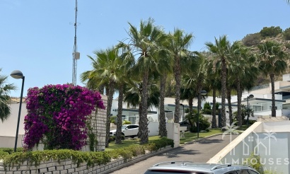 Revente - Villa - San Miguel de Salinas - San Miguel