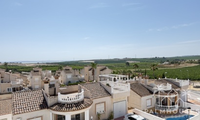 Revente - Villa - San Miguel de Salinas - San Miguel