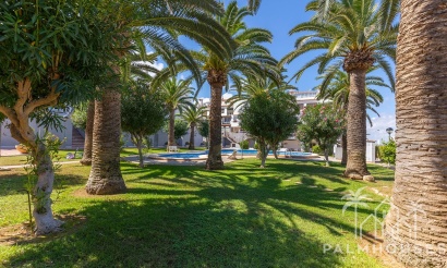 Revente - Apartment - La Mata