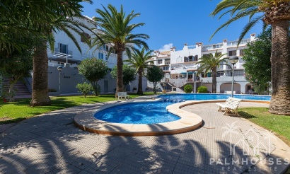 Revente - Apartment - La Mata