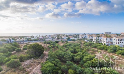 Nouvelle construction - Apartment - Orihuela Costa - Playa Flamenca