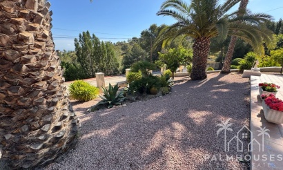Venta - Villa - Algorfa - Lomas de La Juliana