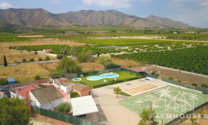 Venta - Finca - Benferri - Benferri - Country