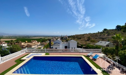 Venta - Villa - Algorfa - Lomas De La Juliana