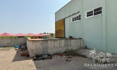Revente - Villa - San Miguel de Salinas - San Miguel