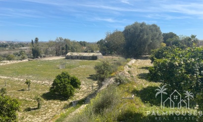 Venta - Villa - Guardamar del Segura - Valencian Community