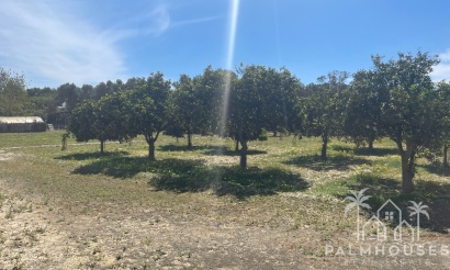 Venta - Villa - Guardamar del Segura - Valencian Community