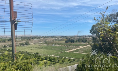 Venta - Villa - Guardamar del Segura - Valencian Community