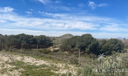 Venta - Villa - Guardamar del Segura - Valencian Community