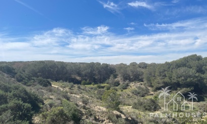 Venta - Villa - Guardamar del Segura - Valencian Community