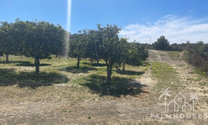 Venta - Villa - Guardamar del Segura - Valencian Community