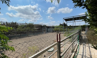 Venta - Villa - San Fulgencio - La Marina