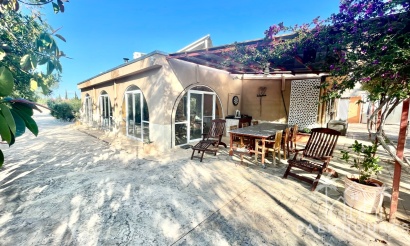 Venta - Finca - Crevillente