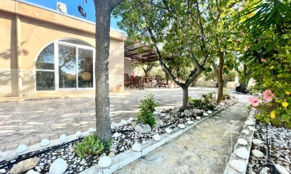 Venta - Finca - Crevillente