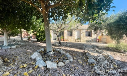 Venta - Finca - Crevillente
