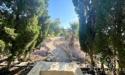 Venta - Finca - Crevillente
