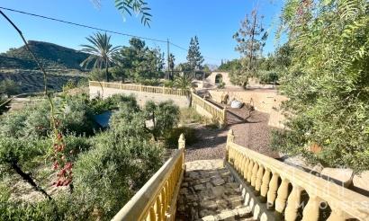 Venta - Finca - Crevillente
