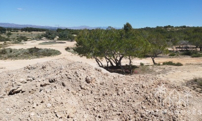 Venta - Plot - San Fulgencio - La Marina