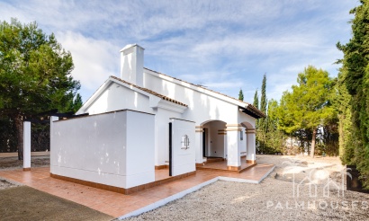 New Build - Villa - Fuente Álamo - Fuente Alamo