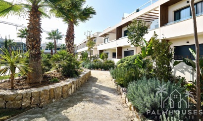 Nieuwbouw - Appartement - Torrevieja