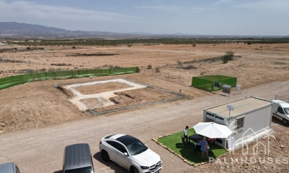 Nouvelle construction - Villa - Fuente Álamo - Fuente Alamo