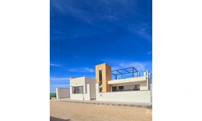 Nouvelle construction - Villa - Fuente Álamo - Fuente Alamo