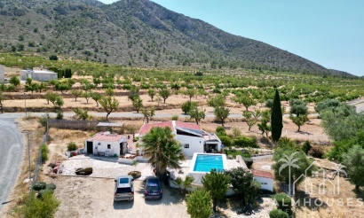Venta - Comercial - Algueña
