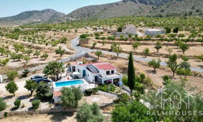 Venta - Comercial - Algueña