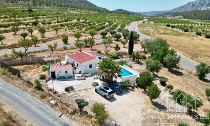 Venta - Comercial - Algueña