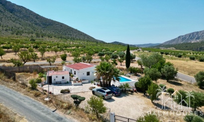 Venta - Comercial - Algueña