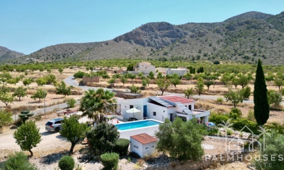 Venta - Comercial - Algueña