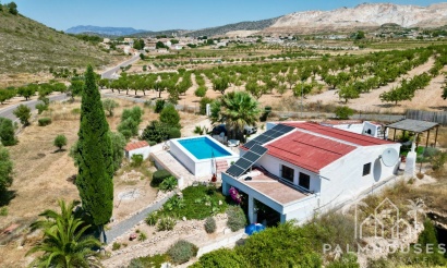 Venta - Comercial - Algueña