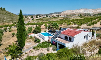 Venta - Comercial - Algueña