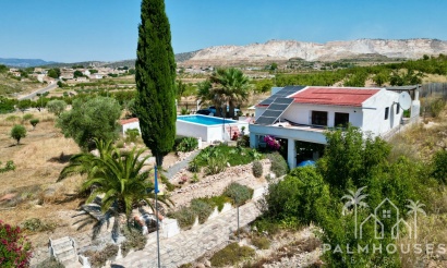 Venta - Comercial - Algueña
